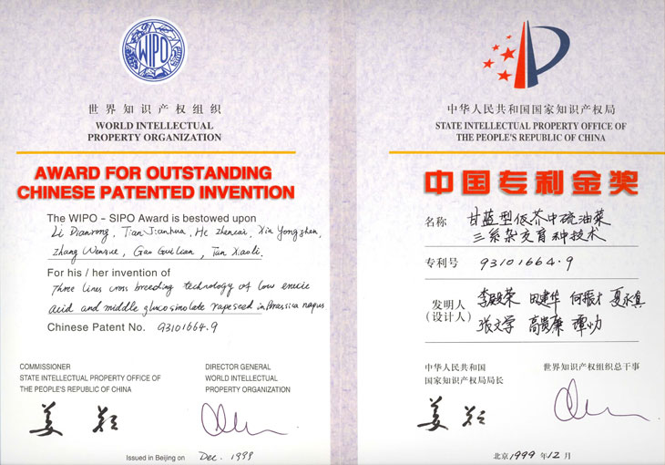 1999专利金奖.jpg