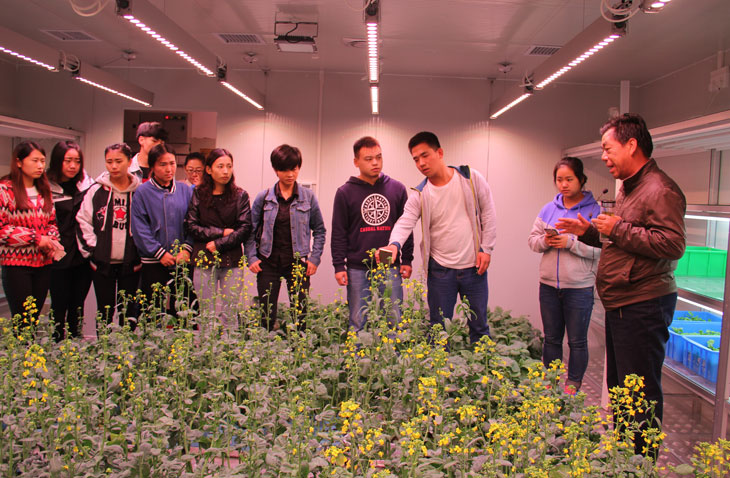 1477293637228252.jpg 3-1.jpg