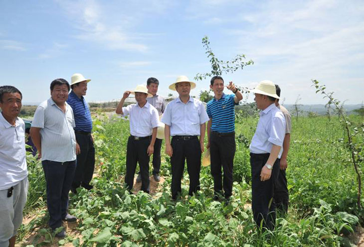 1482393985872475.jpg 4-1.jpg