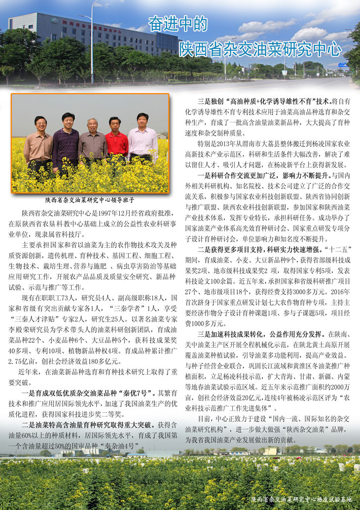 1505296183987860.jpg 11.jpg