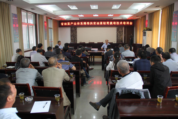 1506320609162853.jpg 33.jpg