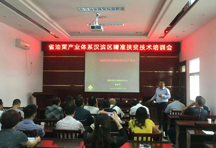 1506320645981185.jpg 11.jpg