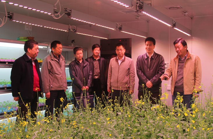 1508481669800240.jpg 33.jpg