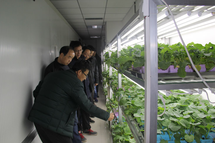 1518596689418366.jpg 1.JPG