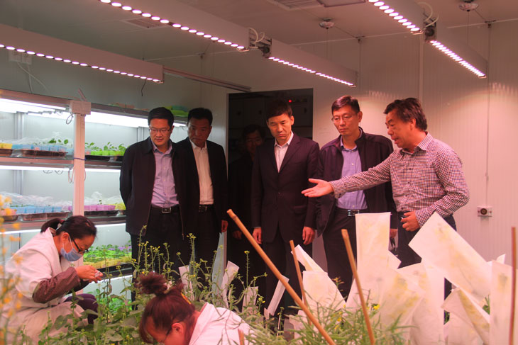 1522292538723880.jpg 22.jpg