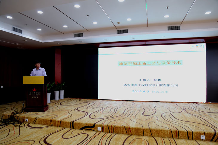 1523177392741733.jpg 44.jpg