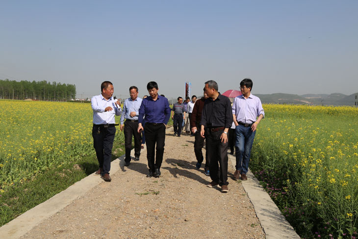 1523177405302244.jpg 55.jpg