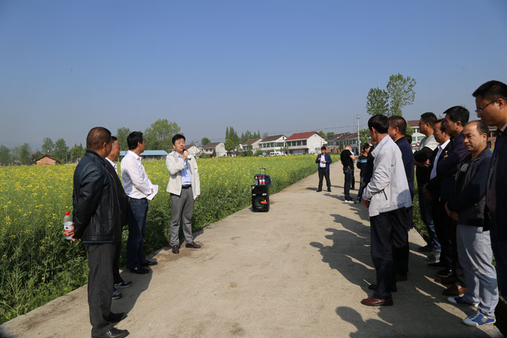 1523236209187868.jpg 33.jpg