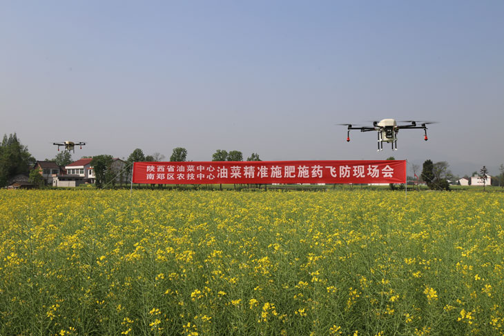 1523236372153022.jpg 11.jpg