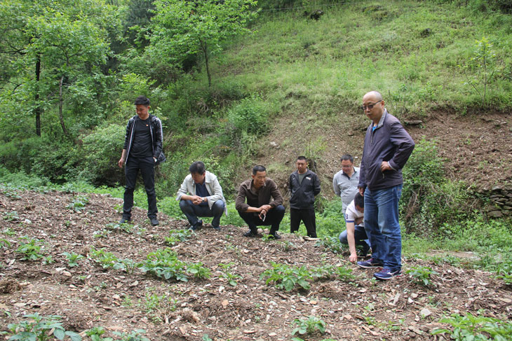 1525678618305210.jpg 33.jpg