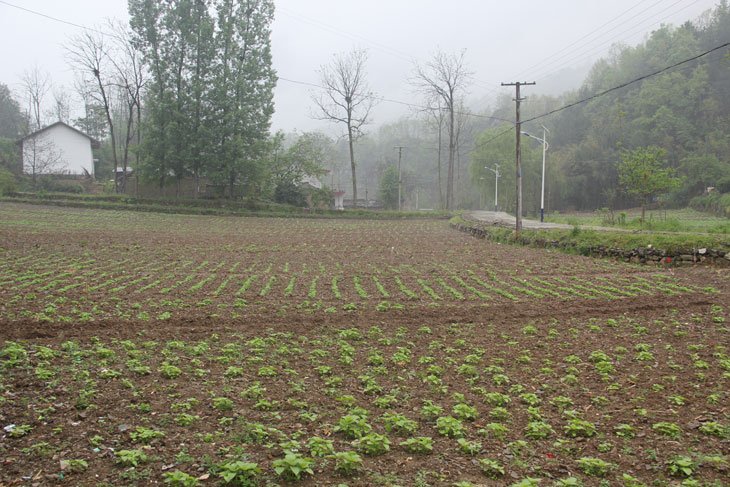 1525678634665250.jpg 44.jpg