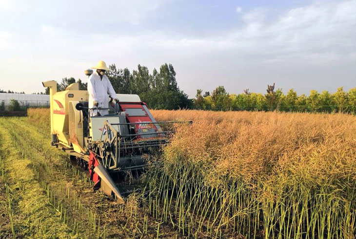 1528684443649797.jpg 11.jpg