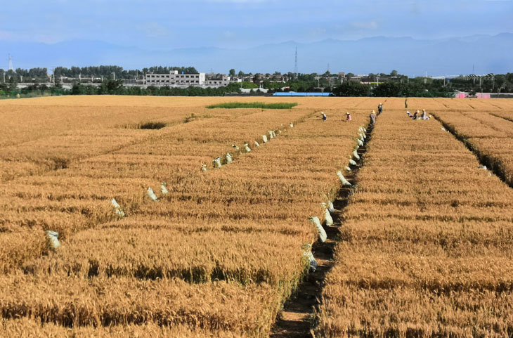 1528684465882862.jpg 22.jpg