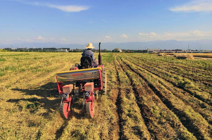 1528684501368178.jpg 33.jpg