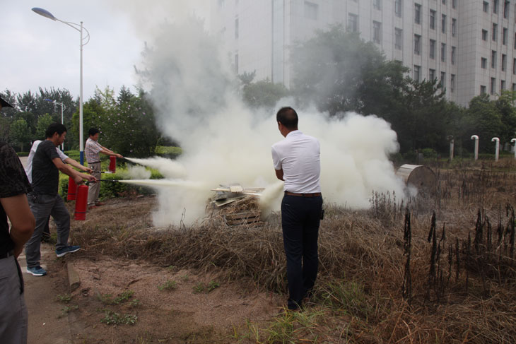 1532397619367858.jpg 44.jpg