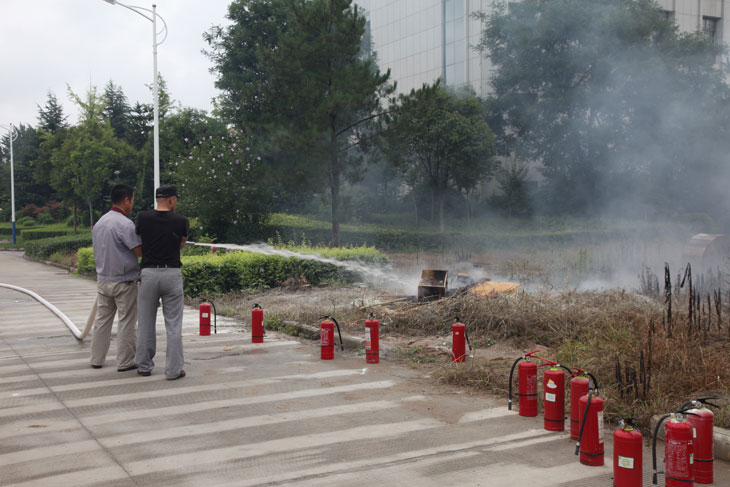 1532397631215274.jpg 55.jpg