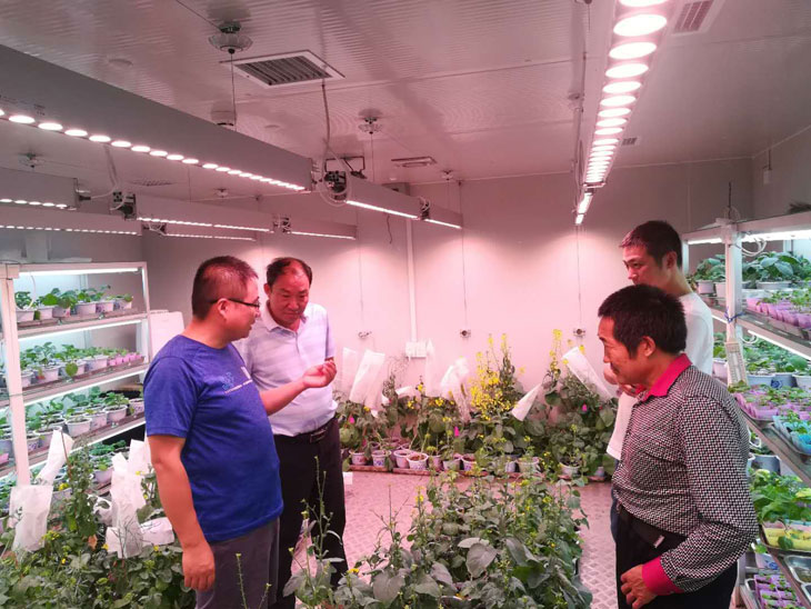 1533630693659348.jpg 22.jpg