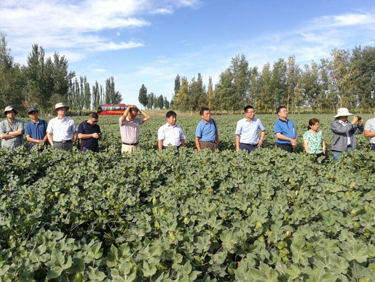 1534327204459596.jpg 11.jpg