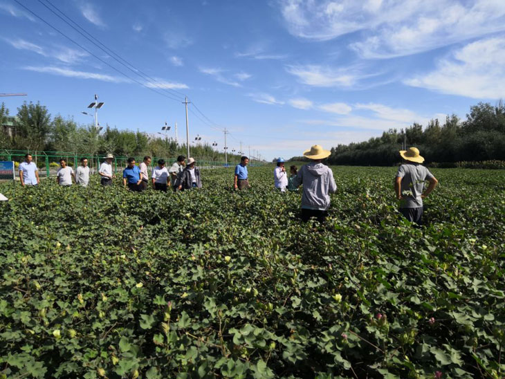 1534327222863984.jpg 22.jpg