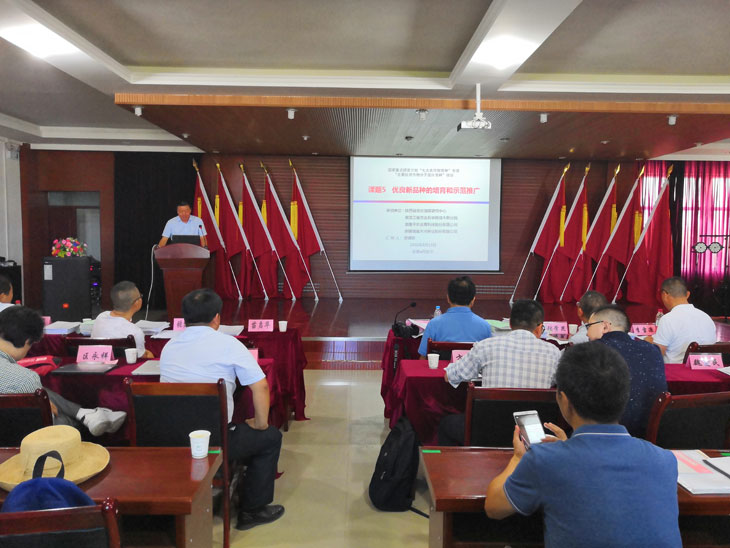 1534327266359501.jpg 44.jpg