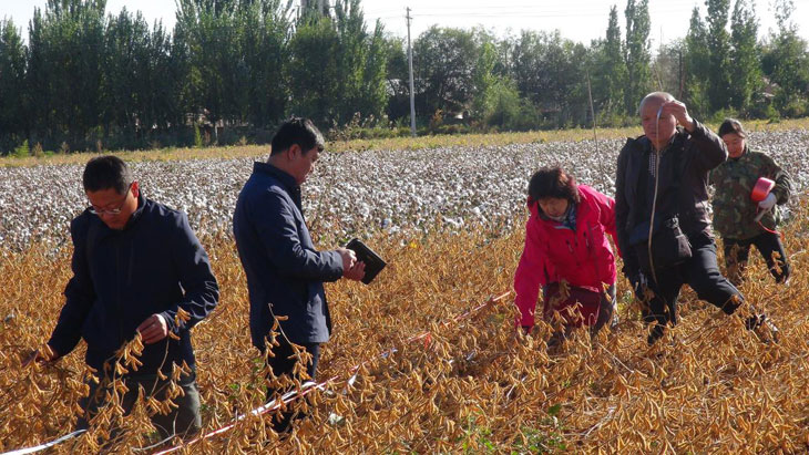 1538300332112160.jpg 33.jpg