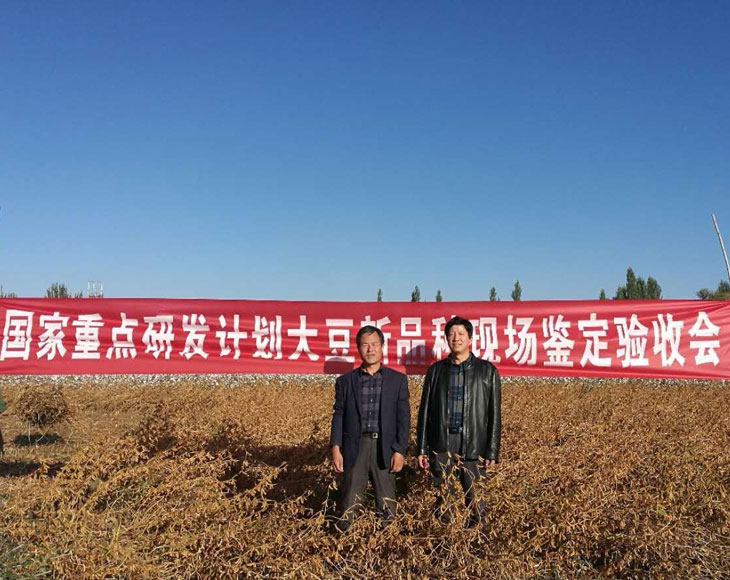 1538966304679858.jpg h1.jpg