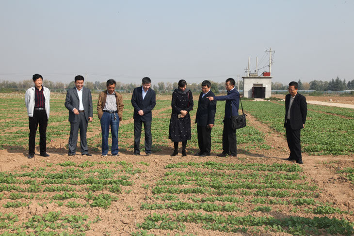 1539338372539074.jpg 44.jpg