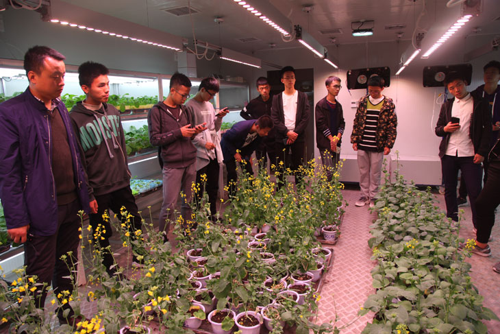 1539834279468854.jpg 44.jpg