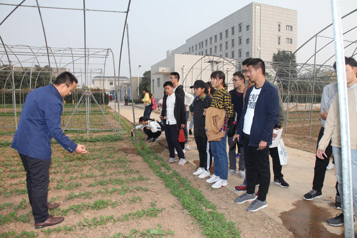 1539834304176803.jpg 55.jpg