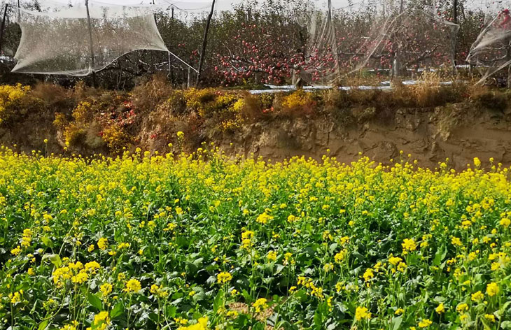 1540430660511651.jpg 11.jpg