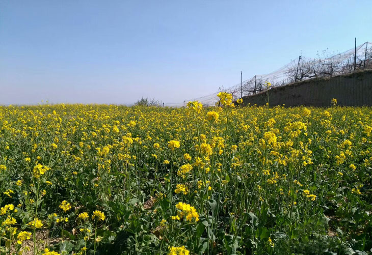 1540430740546460.jpg 33.jpg