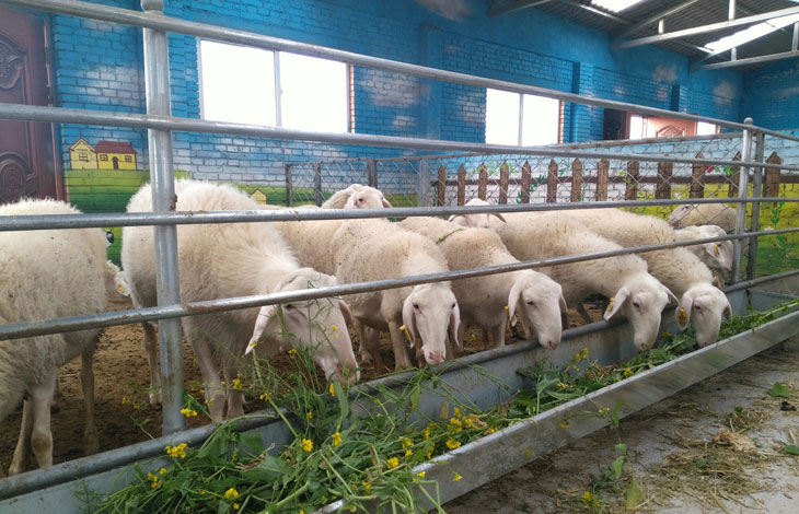 1540430752919608.jpg 44.jpg