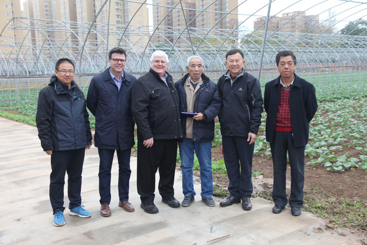 1541725524974593.jpg 11.jpg