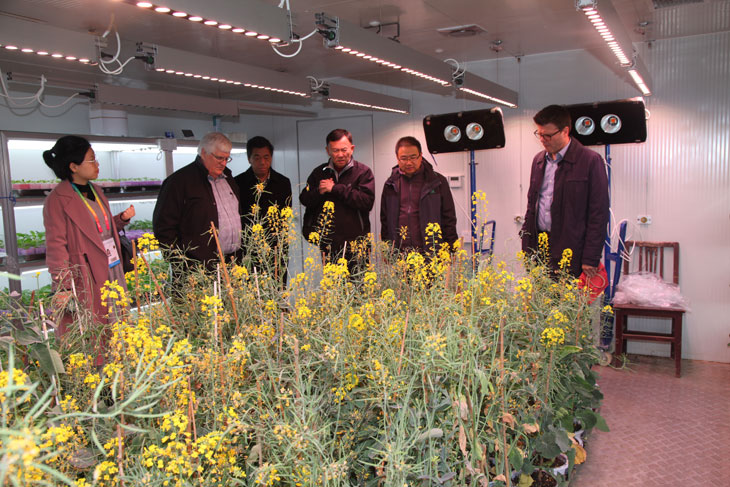 1541725537131476.jpg 22.jpg