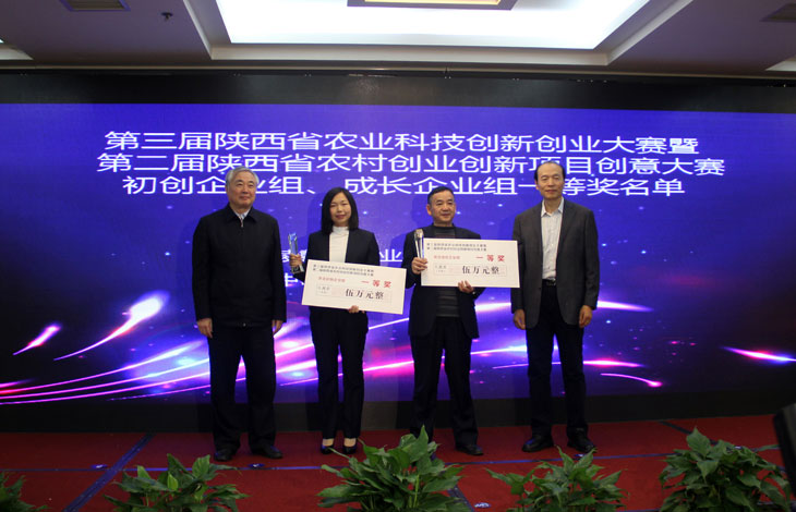 1542253072475084.jpg 11.jpg