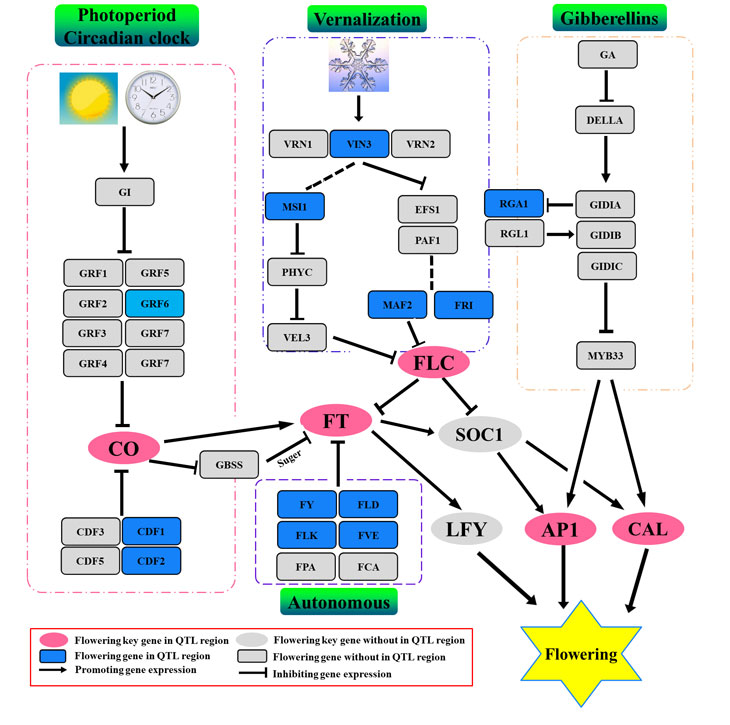 1543997371623223.jpg 22.jpg