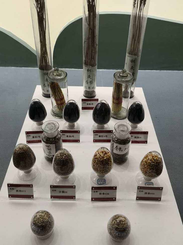 1545812455249518.jpg 33.jpg