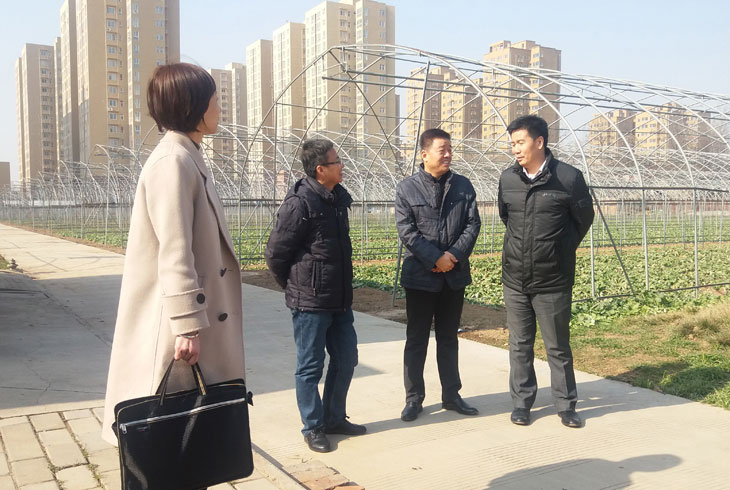 1547774791603300.jpg 55.jpg