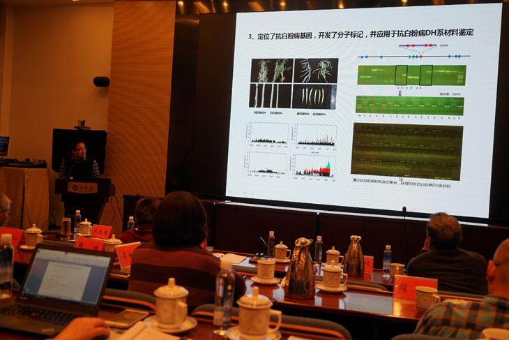 1548230115263661.jpg 33.jpg