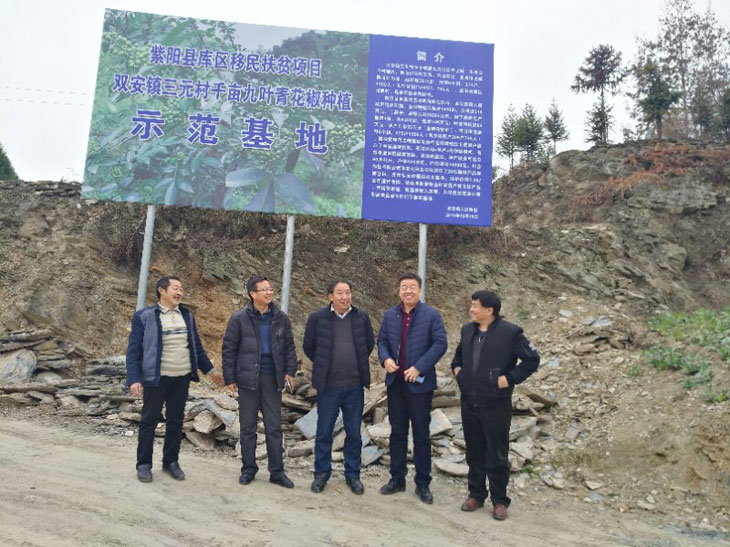 1548722352479845.jpg 11.jpg