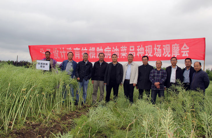 1556606622370246.jpg 11.jpg