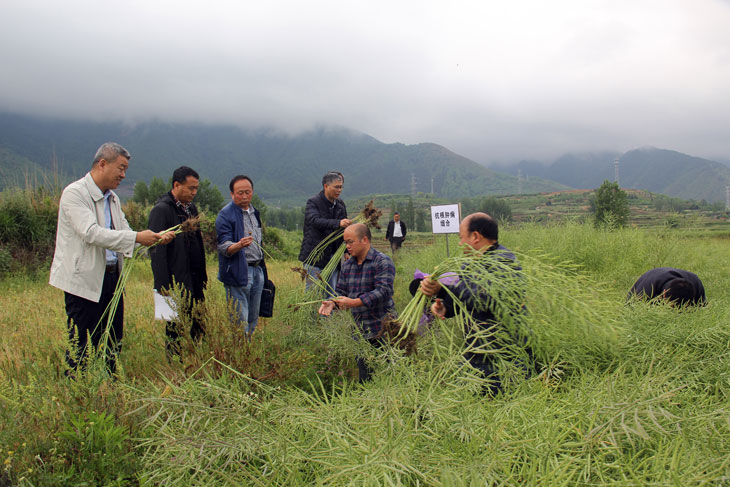 1556606634929344.jpg 22.jpg