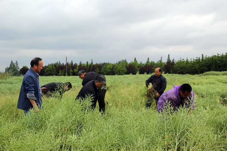 1556606648853505.jpg 33.jpg