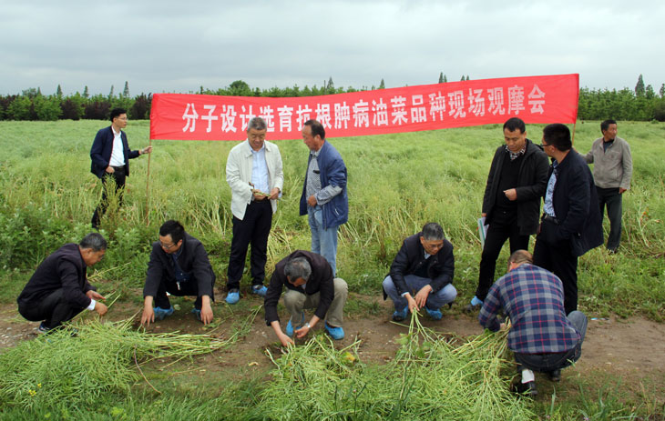 1556606661534818.jpg 44.jpg