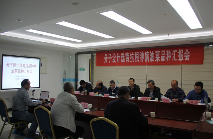 1556606684272926.jpg 66.jpg