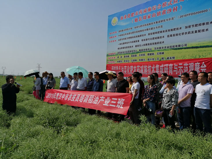 1557023367740384.jpg 11.jpg