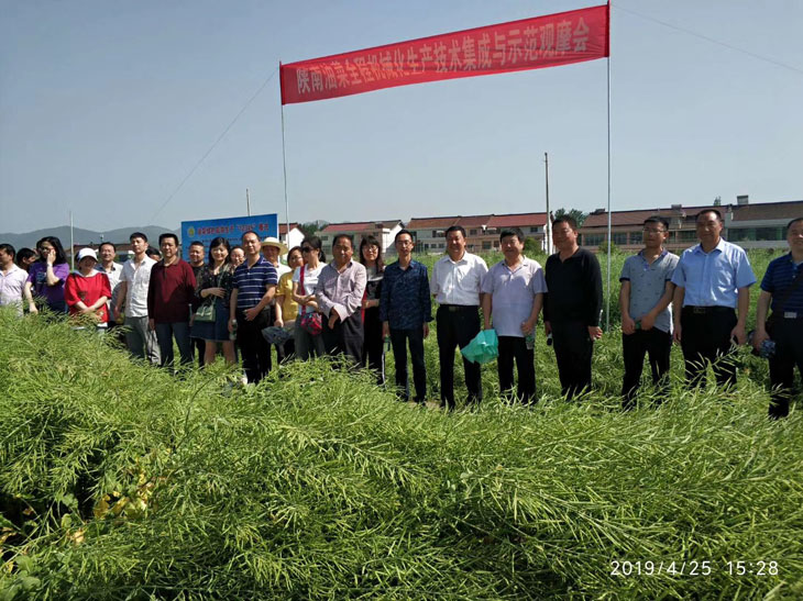 1557023381703228.jpg 22.jpg