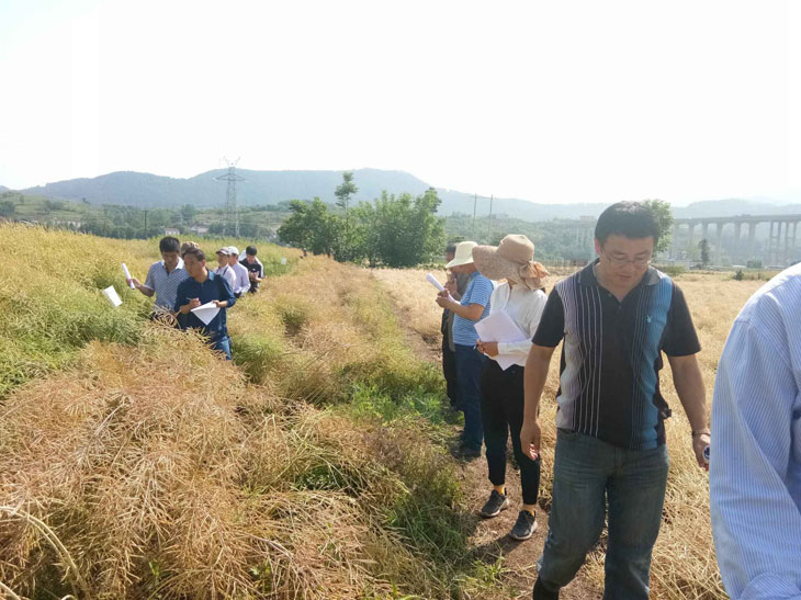 1557992942219084.jpg 22.jpg