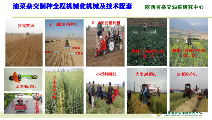 1558486376229089.jpg 22.jpg