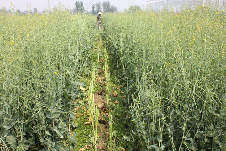 1558486403766657.jpg 44.jpg